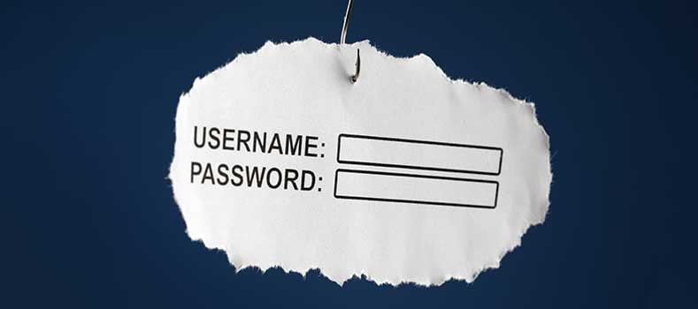 i principali crimini informatici