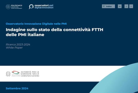 whitepaper-pmi-ftth